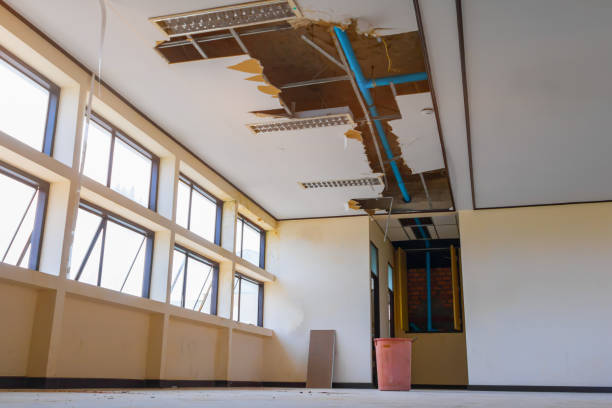 Best Mold removal after water damage  in Stanley, ND
