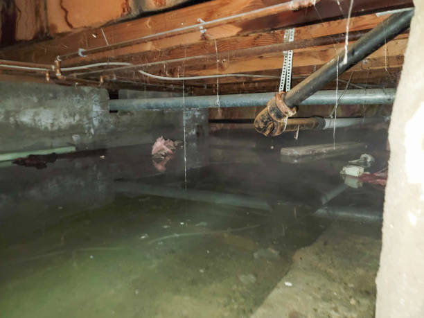 Best Fire Damage Restoration  in Stanley, ND