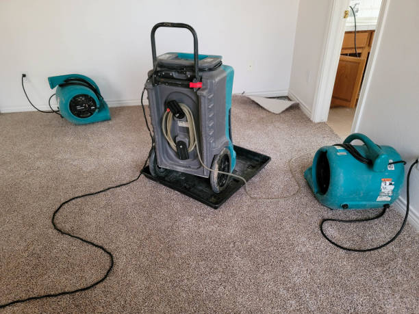 Best Water damage restoration near me  in Stanley, ND