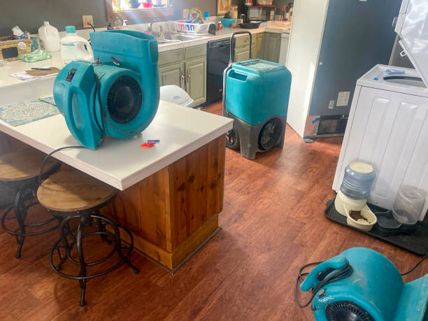 Best Carpet water damage restoration  in Stanley, ND