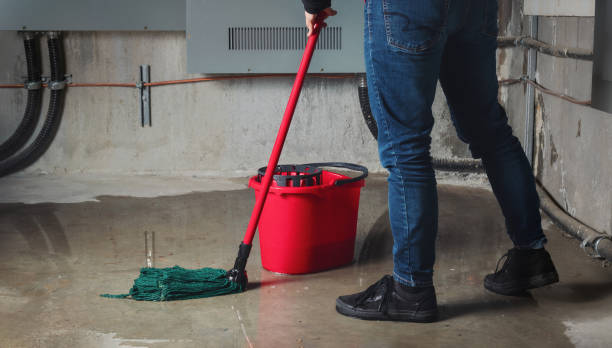 Best Professional water damage repair  in Stanley, ND