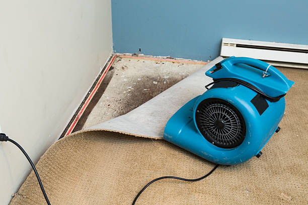 Best Sewage cleanup and water damage restoration  in Stanley, ND